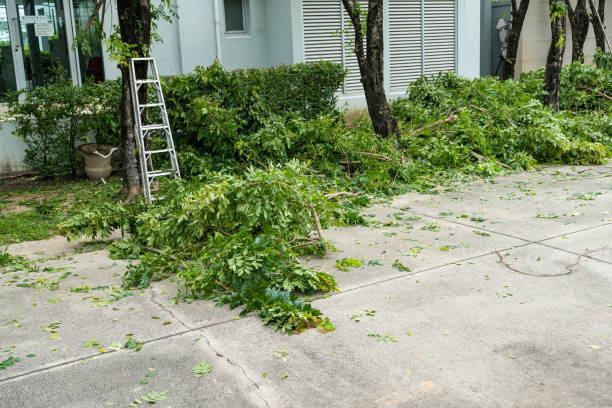 Best Storm Damage Tree Cleanup  in Columbia, MD